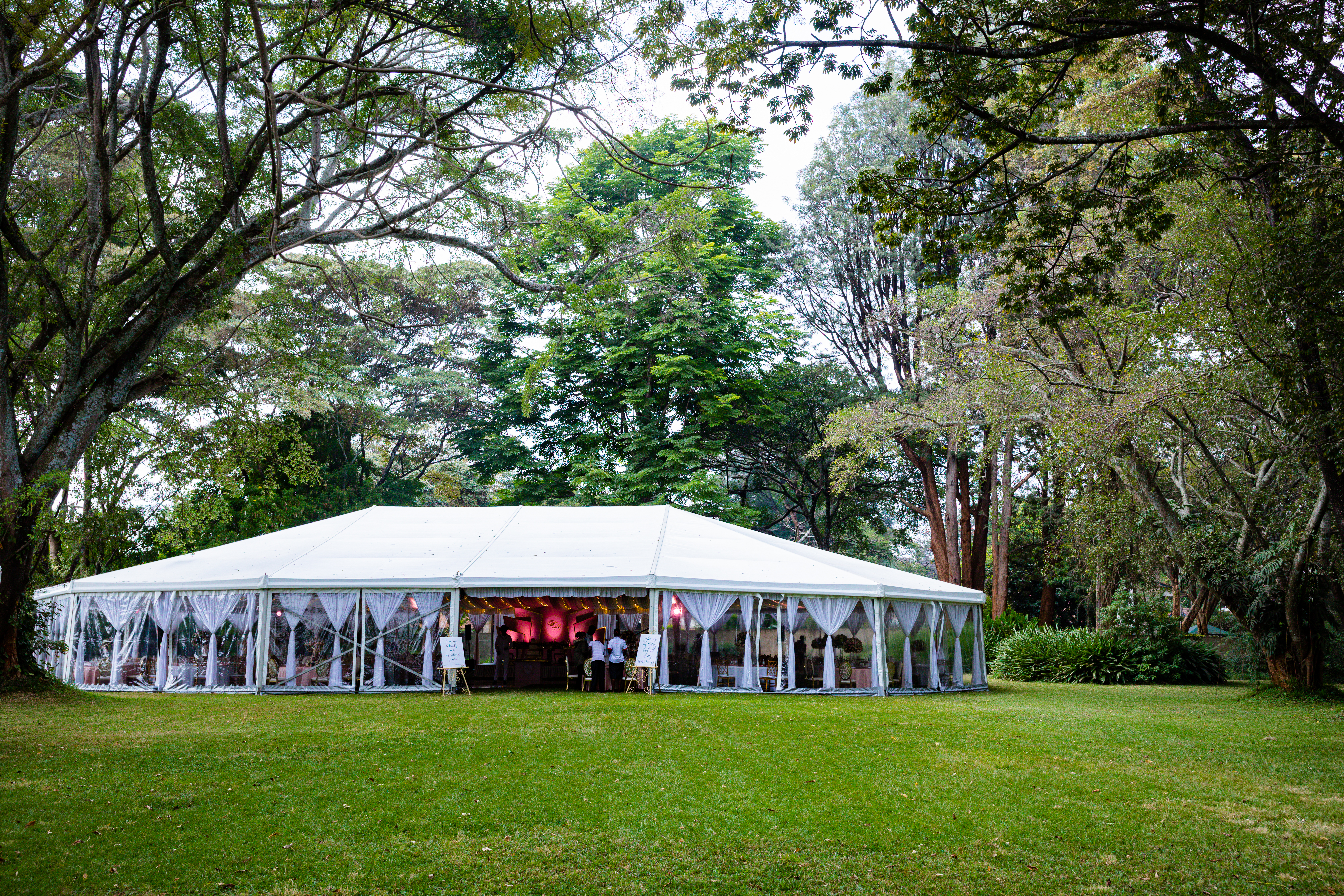 - Jewi Teltudlejning - Blogpost - Jewi Teltudlejning - Blogpost